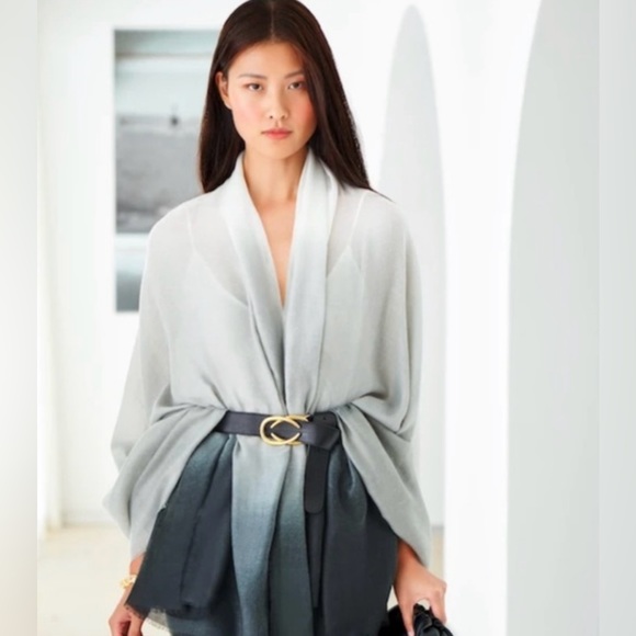 NWT Carly Cushnie Scarf Ombre Print - Picture 2 of 4